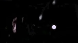 vintage despondent gash