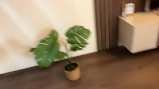 halloween pee drink plus golden shower