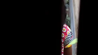 Desi Discarded and Piss4&period;AVI